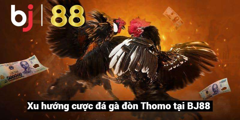 Cá cược đá gà đòn Thomo tại BJ88
