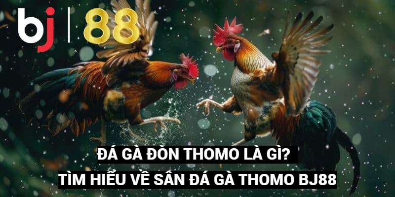Đá gà đòn thomo BJ88