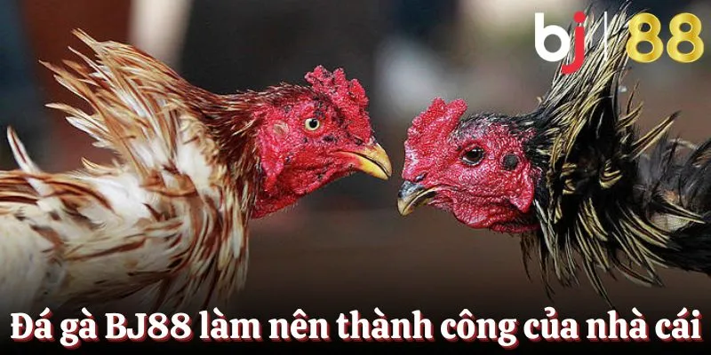 Sảnh đá gà tại BJ88