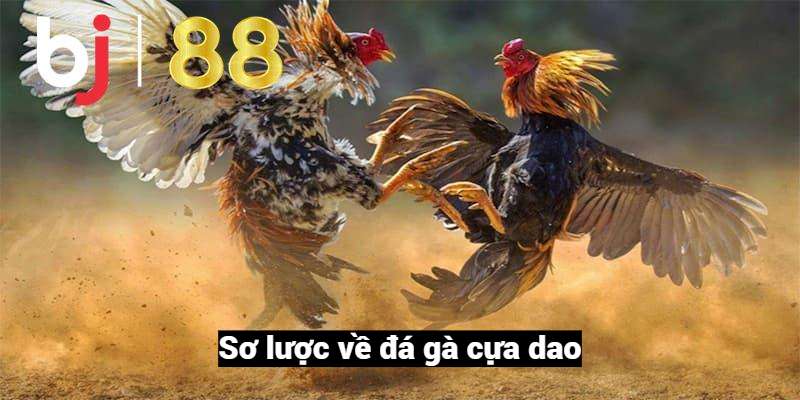 Sơ lược đá gà cựa dao